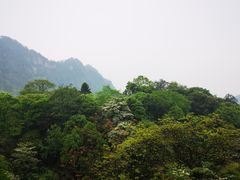 -青城山