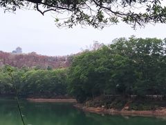 -红花湖景区