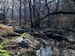 -国家植物园南园