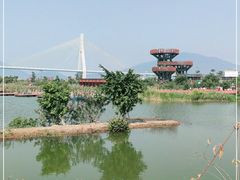 -芒洲湿地公园