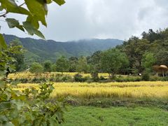 -塔川景区