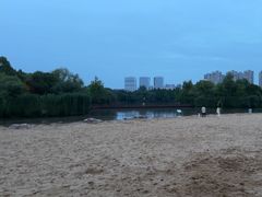 -青枫公园