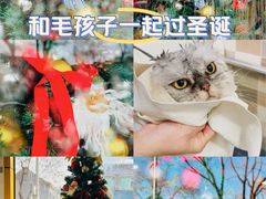 -酷迪宠物(赵登禹路店)