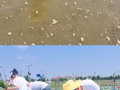 -中国天府农业博览园