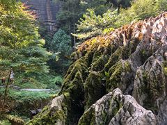 -梭布垭石林景区