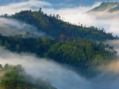 -长沙黑麋峰国家森林公园