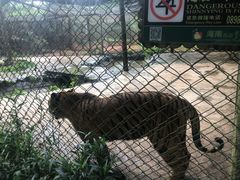 -海南热带野生动植物园