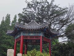-湛山寺