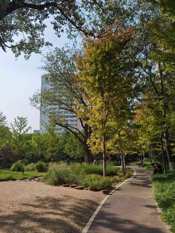 新中街城市森林公园-"新中街城市森林公园是东城区建成的第一处城.