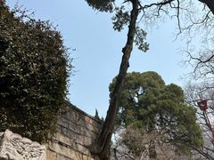 -青岛崂山太清宫