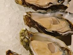 -Oyster Talks 四度蚝法餐厅