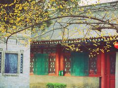 -西安大兴善寺