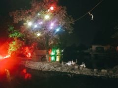 -静之湖湖畔餐厅