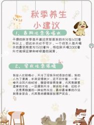 点击看大图 -香薇妮丝女子减肥院