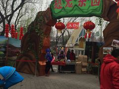 -北京石景山游乐园