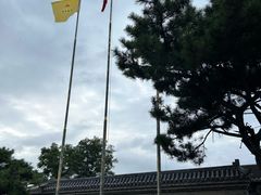 -爱新觉罗皇家博物院