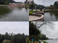 -南国桃园旅游度假区