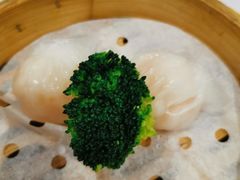 -丰鲤楼•闽南茶楼(仟禧汇店)