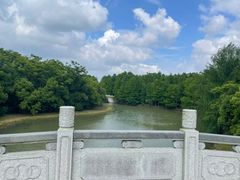 -上海海湾国家森林公园