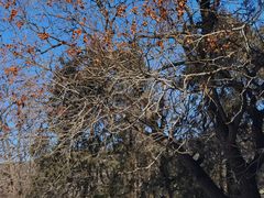 -北京植物园南门售票处