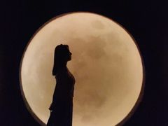 -苏州5D星空错觉艺术馆