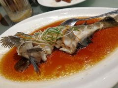 清蒸石斑鱼-頂好酒家·经典粤菜(海信广场店)