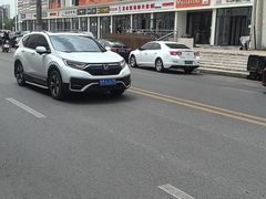 -卫小旦老味大盘鸡总店