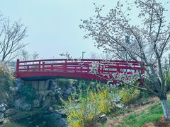 -羊山湖公园