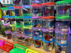 -双季花艺园艺市场(浦东店)