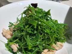 辣木苗鲜桃仁-悦融琥珀·京鲁菜·海味珍品(西单店)