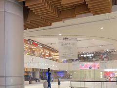 -TheRink大零溜冰场(IFS国金中心店)