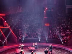 -俄罗斯国家大马戏团