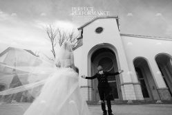 点击看大图 -费拉摄影(天廊T66店)