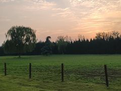 -汉长安城未央宫国家考古遗址公园