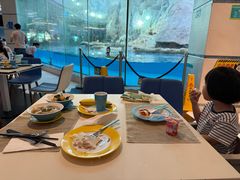 -帝企鹅自助餐厅•儿童岛•真企鹅(长隆企鹅酒店)