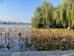 -济南大明湖景区