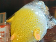 -永安鱼庄·镇江菜(东吴路店)