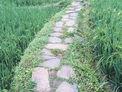-阿哈湖国家湿地公园