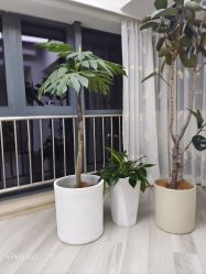 -HEYAN荷妍专业脱毛连锁机构
