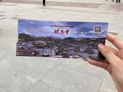 -塔尔寺-菩提树