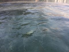 -深业半汤御泉庄温泉