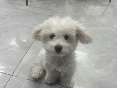 -贝康宠物医院·犬猫全科·小动物特色诊疗中心(东环路店)