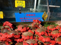 -辉记炭烧海鲜大排档·老字号(福田店)