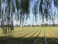 -长兴太湖图影湿地文化园