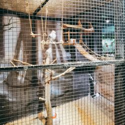 -酷嗒动物文化乐园(cutezoo西溪乐天城店)