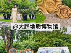 -西涌国际滨海旅游区