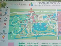 -上海海湾国家森林公园