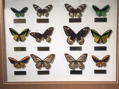 -上海昆虫博物馆