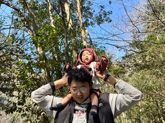 -石台牯牛降景区