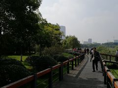 -尚贤河湿地